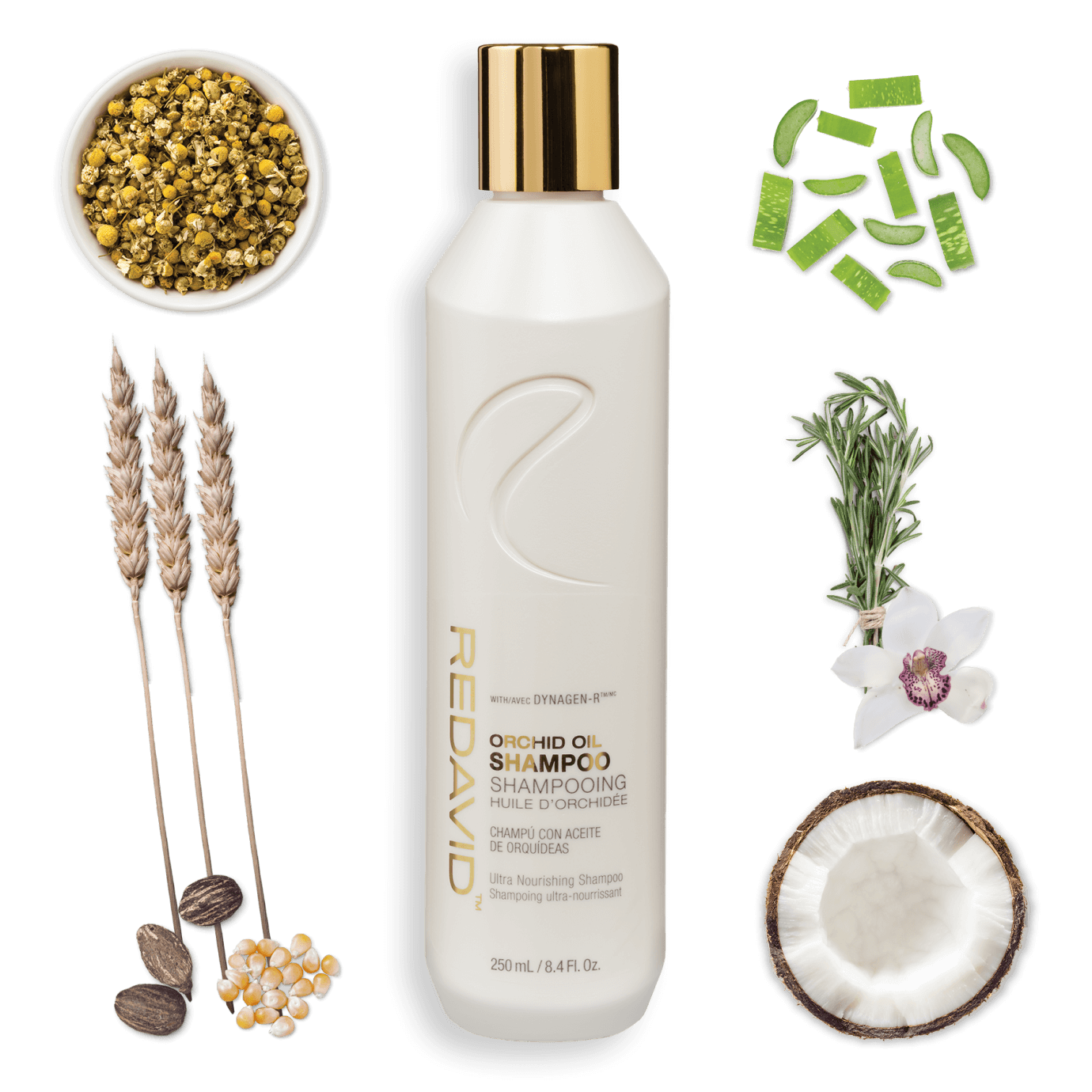 Lush Redavid Orchid Oil Image in HD Lush Redavid Orchid Oil Image in HD