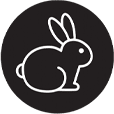 REDAVID Pure Promise Cruelty Free | REDAVID Salon Products